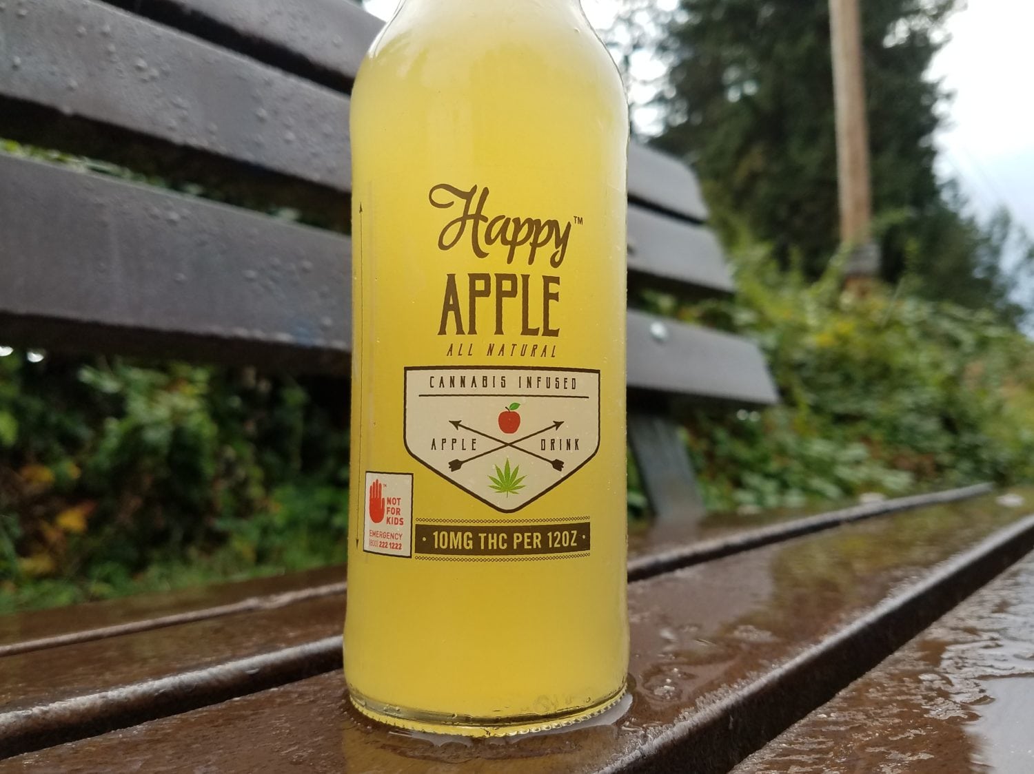 Happy Apple Is The Best Cider to Drink This Fall And Winter