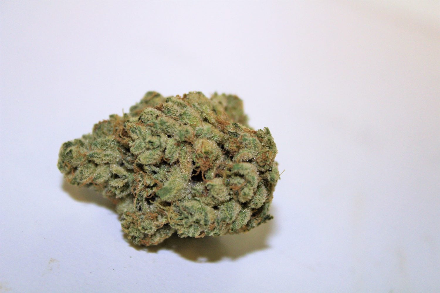 Wedding Cake Strain Seeds Wedding Cake Strain Seeds