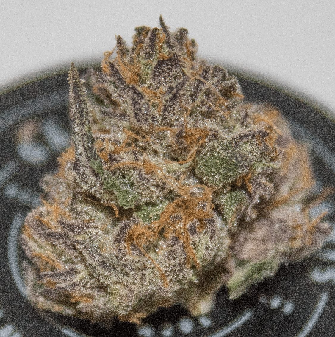 Find Out Why Rainbow Sherbet by Gabriel Cannabis Is Leafly's Flavor of