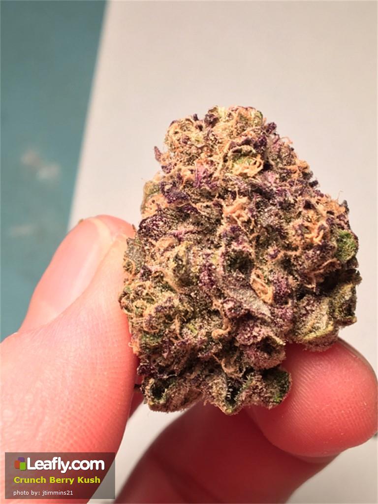 Sweet Kush Strains For Desert and Savory Kush Strains For Dinner