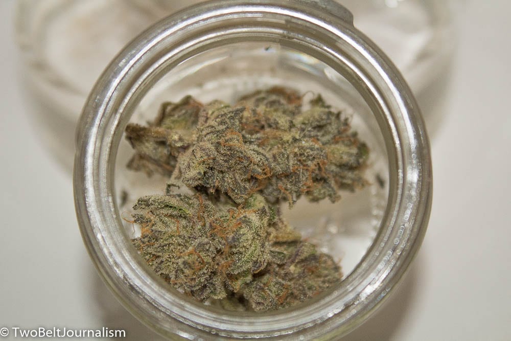 Skord Marijuana's Banana Split Strain Is A Purple Beauty