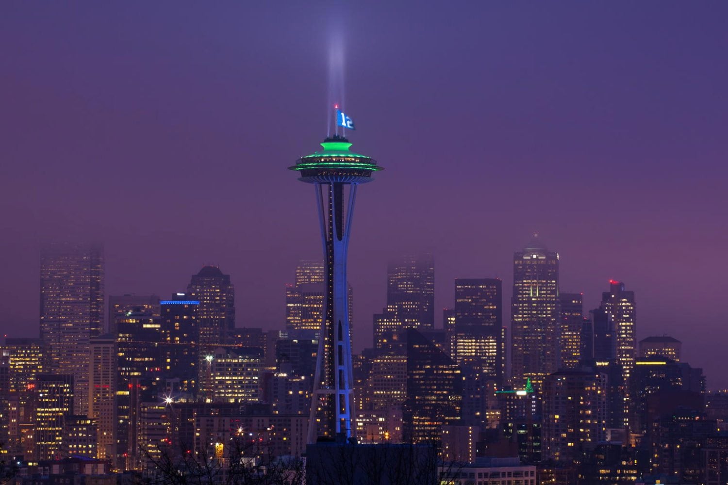 Seahawks Space Needle