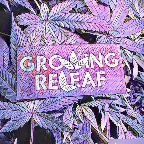 Leafly helps RMR claim the reigns to Oregon's top pot shop