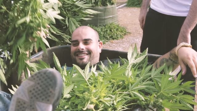 berner in seattle for marijuana mania