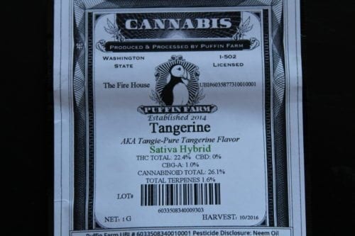 Cannabis Strain of the Week: Tangerine Dream | Review