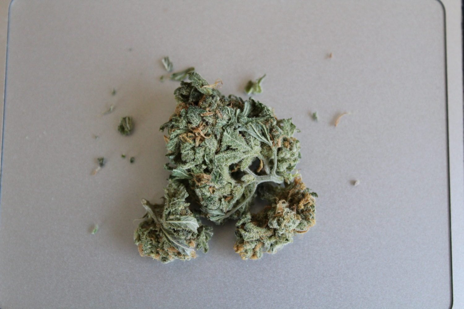 Have You Smoked Super Lemon Haze? Here is RMR's Official Strain Review