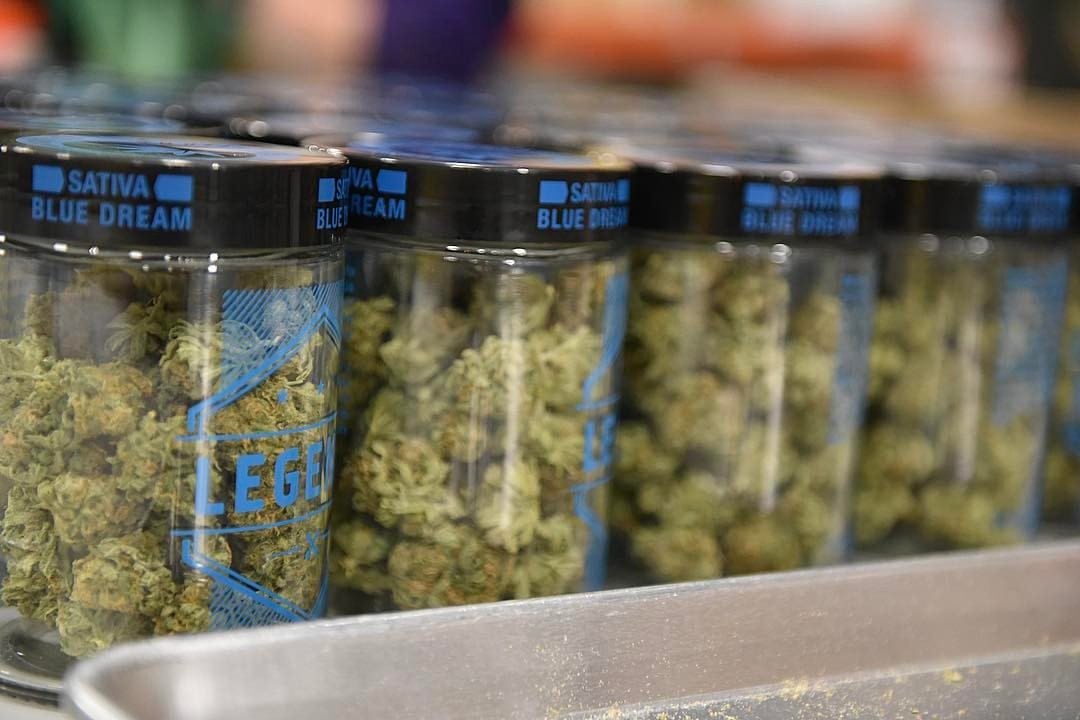 Leafly Strain Spotlight Blue Dream Seed To Strain W Merry Jane