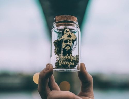 freddys fuego cannabis packaging