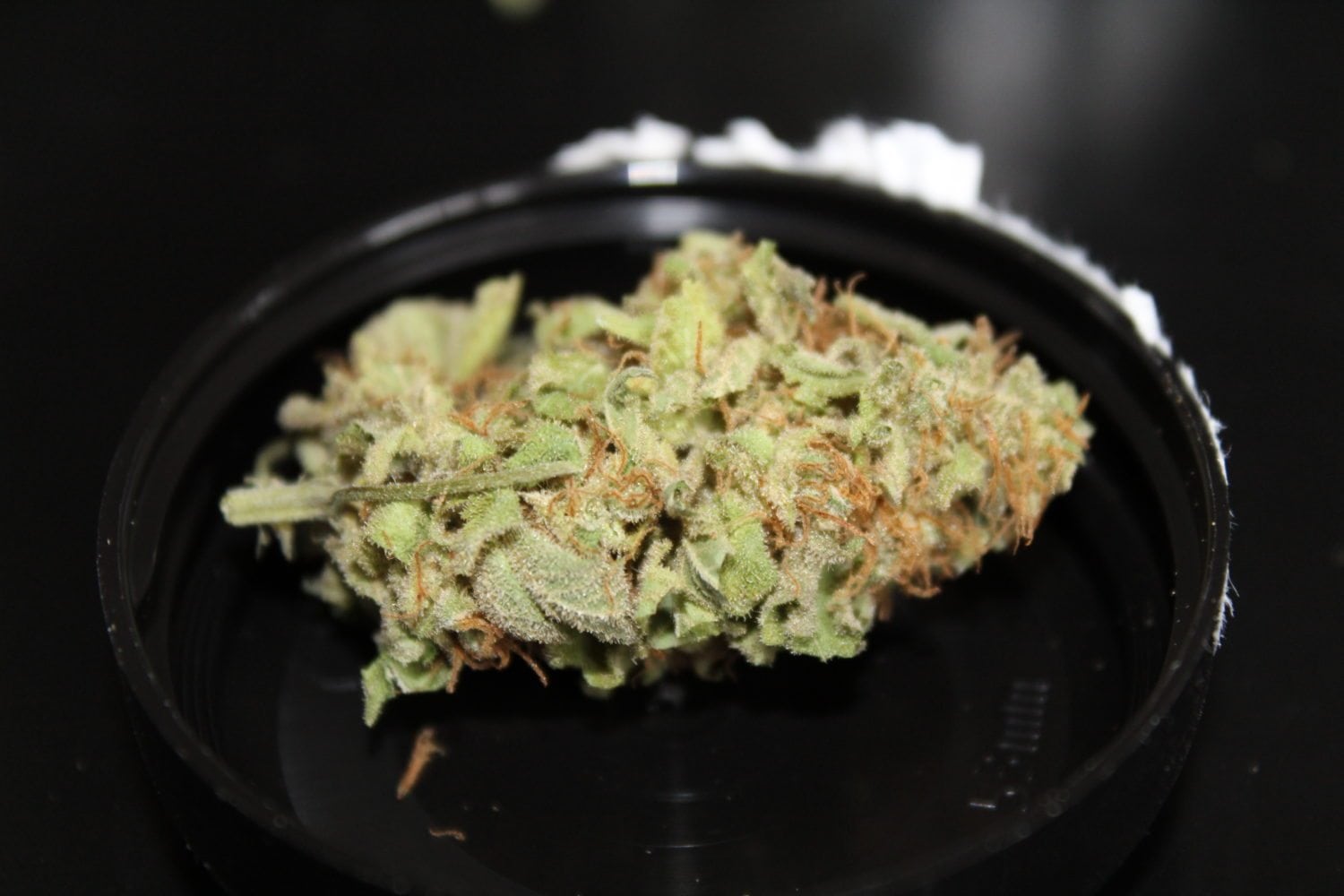 Have You Smoked The Pineapple Express Strain? RMR Strain Reviews