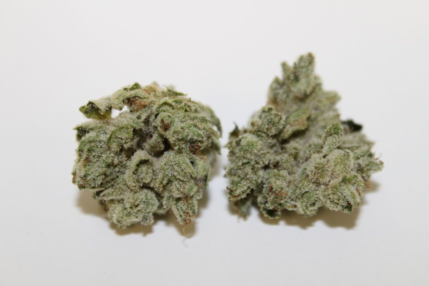 Fresh Bros Strain Review