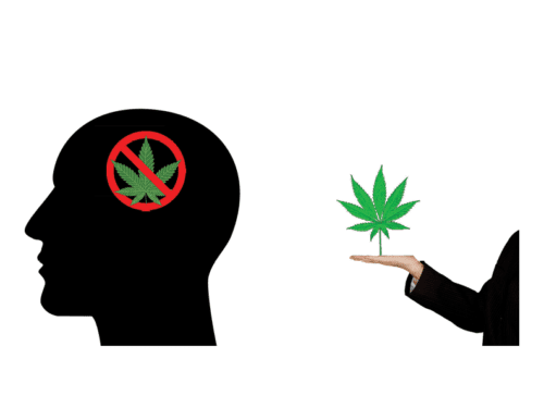 Cannabis and Mental Health