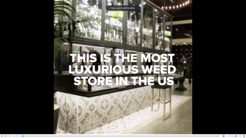 Buzzfeed & Bring Me Call Diego Pellicer "The Most Luxurious Marijuana Store In The US"