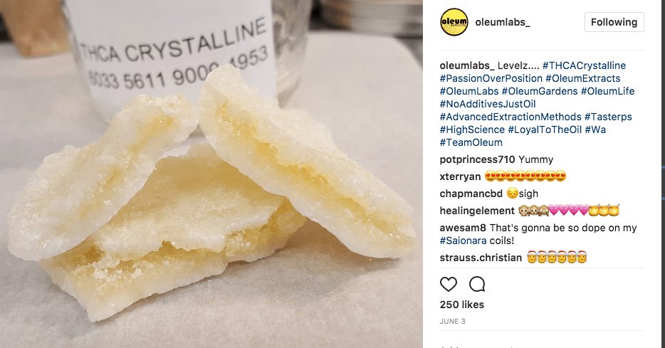 Oleum Extracts One of Washington's Best Concentrate Processors