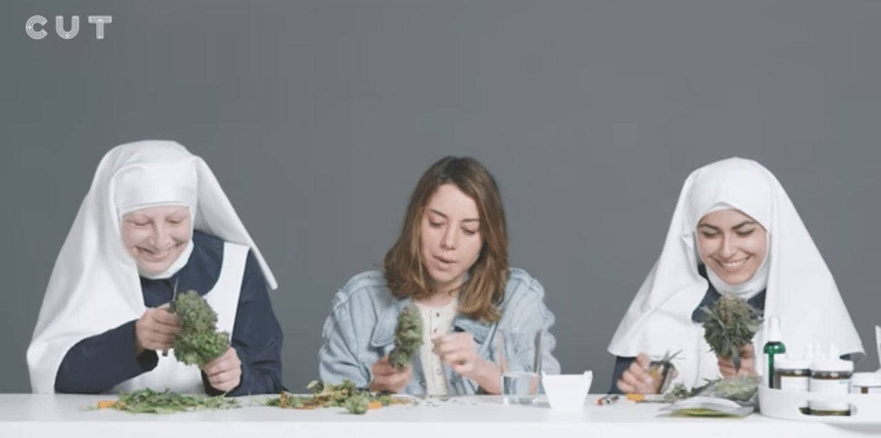 Watch Aubrey Plaza Smoke Pot with the Weed Nuns