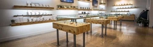 Where To Buy Weed in Las Vegas