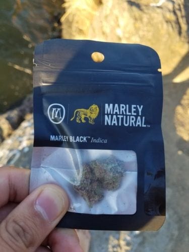 marley natural plushberry