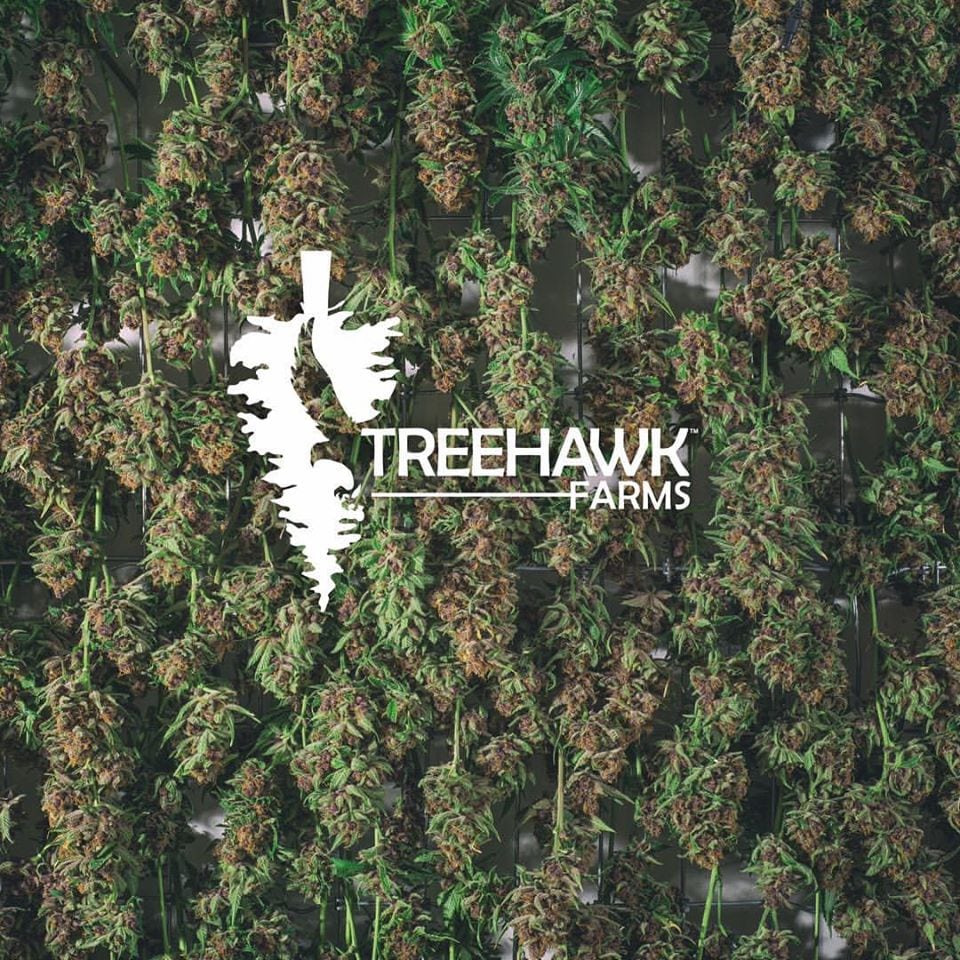 Testing The Black Afghan Strain From Treehawk Farms | Weed Review