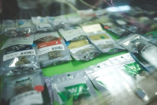 justin costello largest cannabis sale