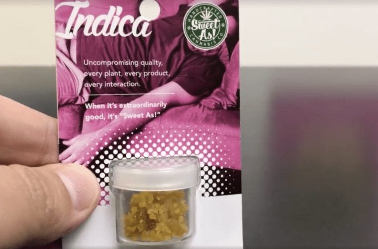 A Real Review Of The 9LB Hammer Live Resin From Sweet As Cannabis