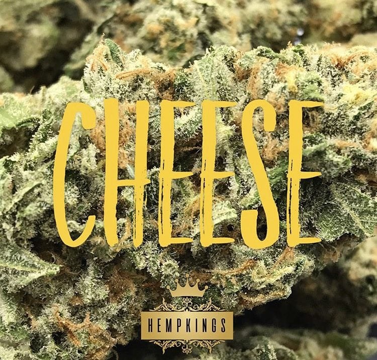 A Real Review of HempKings Cheese Strain