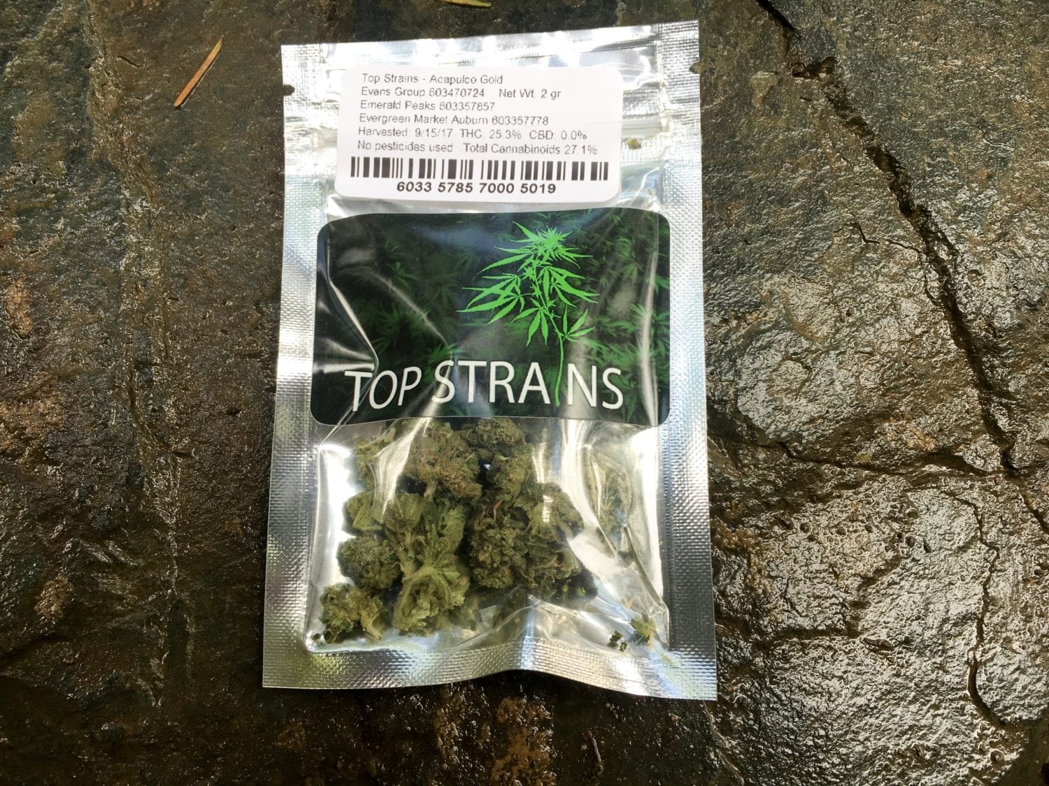 A Real Review of The Acapulco Gold Strain From Top Strains