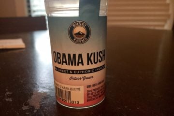 Obama Kush from Bondi Farms