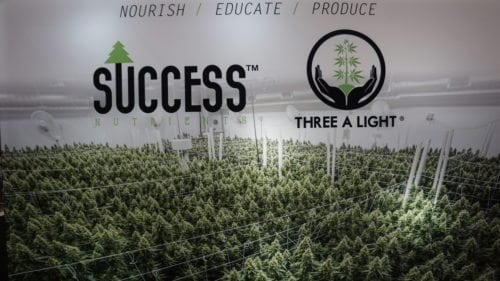 MJBizCon 2017 Provides Huge Growth Opportunities For Cannabis Business