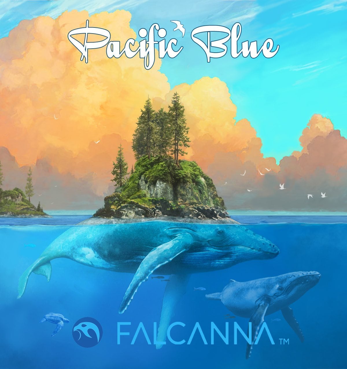 Pacific Blue