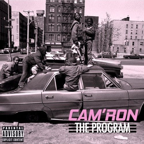 Slap This! Cam'Ron Releases New Mixtape Titled "The Program"