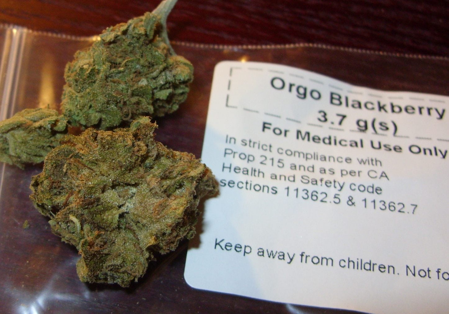 medical marijuana protections