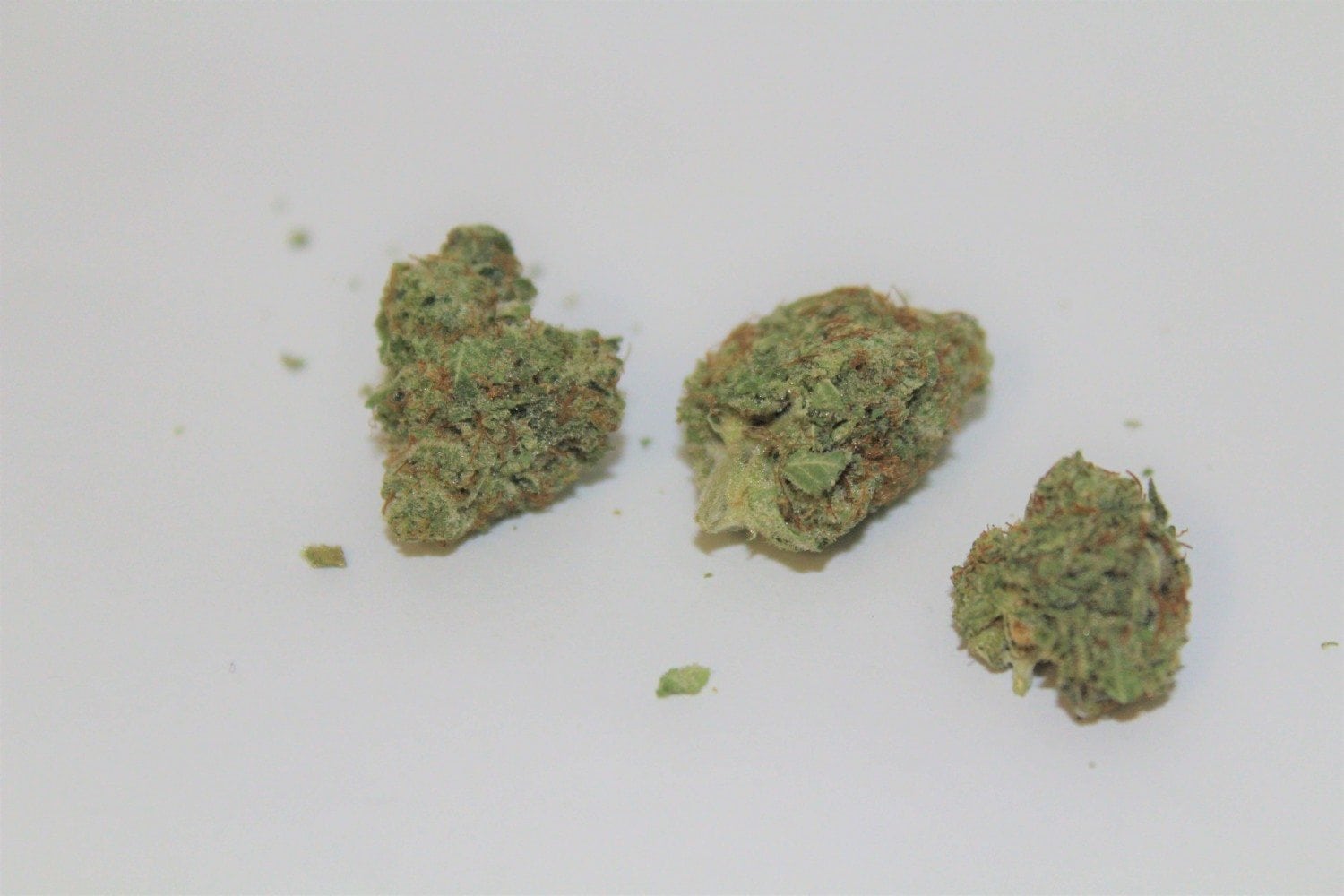 Find Out What Makes The Kush Master strain So Dank
