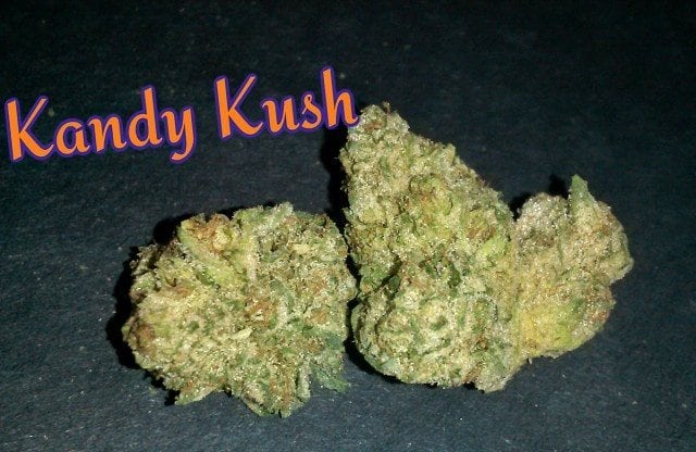 Kandy Kush Strain Highlight - Find Out Why It's So Dank