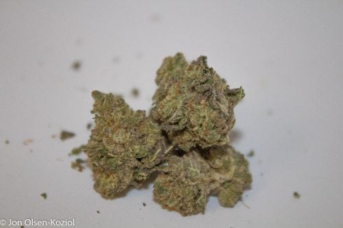 Royal Kush strain