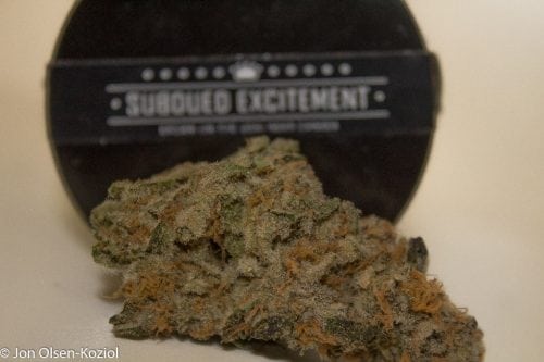 cannabis strains