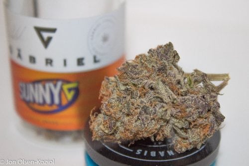 cannabis strains