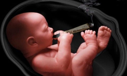 Read One Parent's Thoughts About Using Weed When Pregnant | Joint Parenting