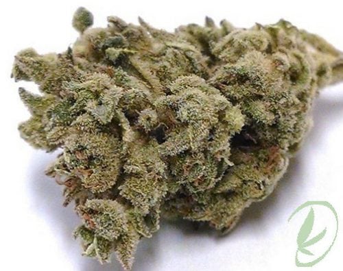 Kandy Kush strain