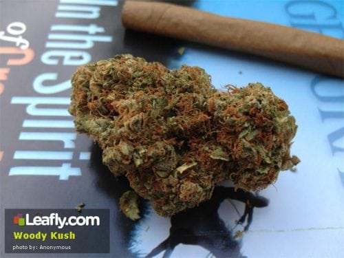 Savory and Sweet Kush Strains