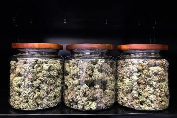 Find Out If House of Cultivar's Himalayan Pink Is Worth The Hype!