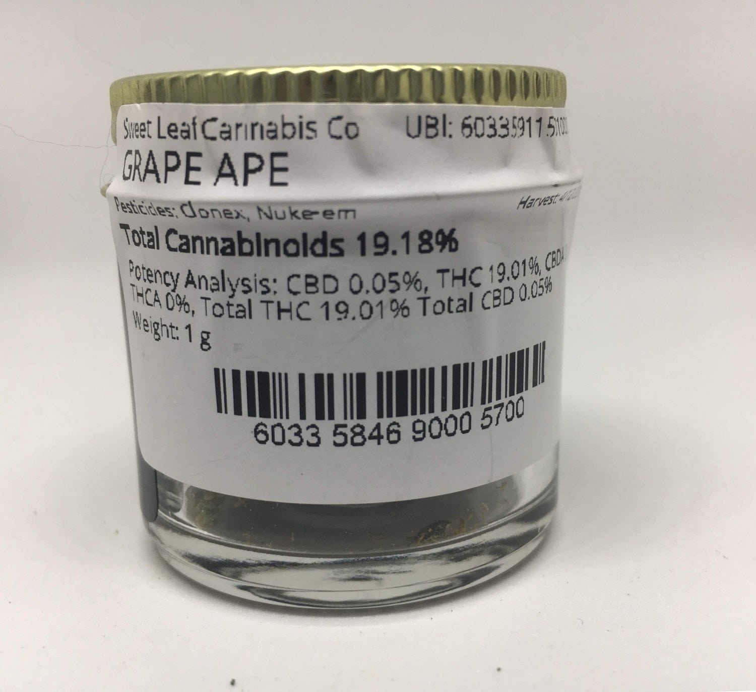 Read The Official Grape Ape Strain Review From Triple Crown Productions