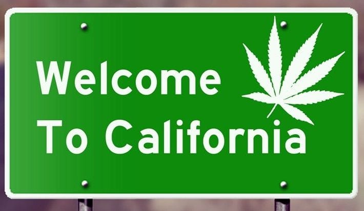 California Legalizes Cannabis: Here Are 5 Things You Should Know About Smoking Pot in CA