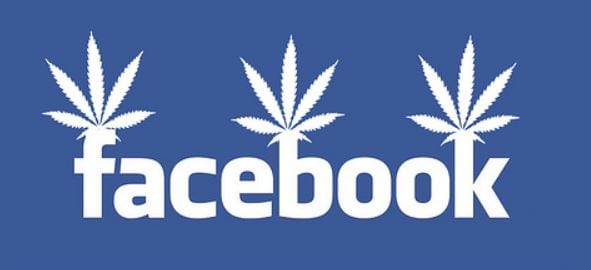 These Are The Reasons Your Cannabis Social Media Accounts Get Banned