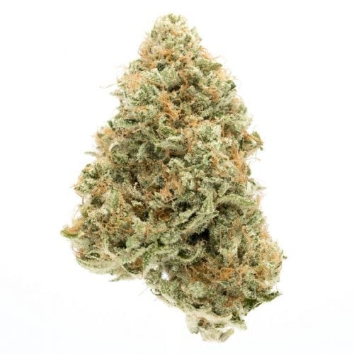 Skord's Sour Tangie Strain Is Citrusy With A Sour Diesel Twist