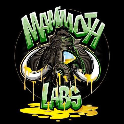 Mammoth Labs