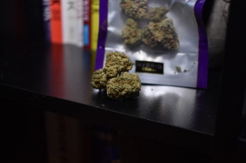A Review Of The White Russian Strain From Cashmere Cannabis