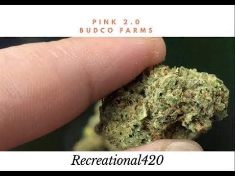 Budco Farms Pink 2.0