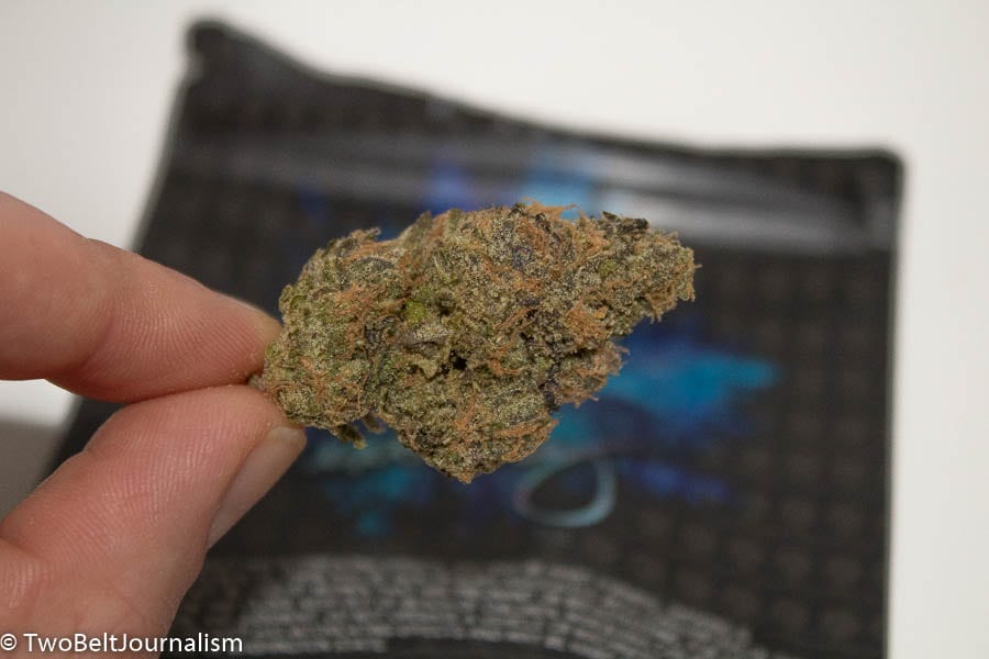 Is Exotikz OZ Kush Strain Worth Your Money?