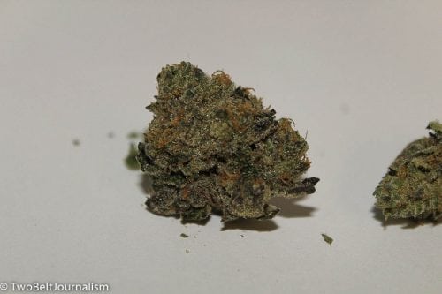 Exotikz Sunset Sherbet Strain Review