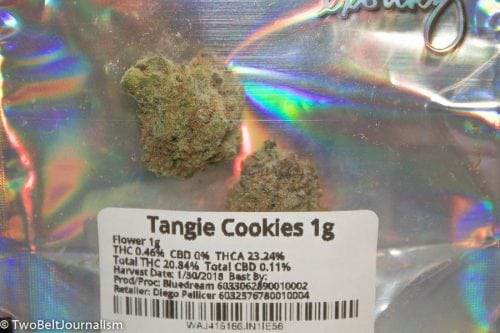 Reviewing The Tangie Cookies Strain From Exotikz