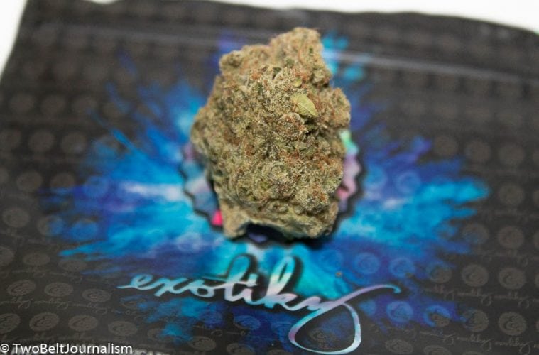 Exotikz White Fire 43 strain
